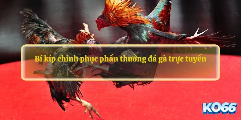 Bí kíp chinh phục phần thưởng với đá gà trực tuyến