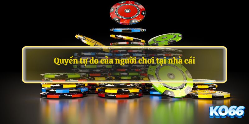 Quyền tự do của người chơi tại nhà cái